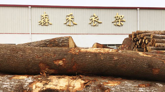 意昂(中国区)官方网站